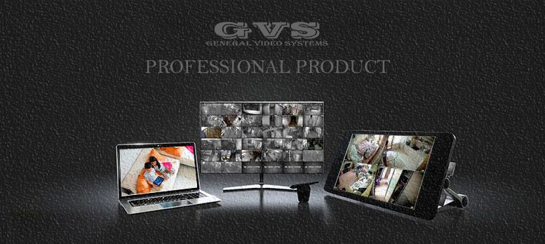 Professional product GVS
