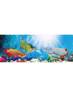 Алмазная мозаика Timkee 80375 Рыбы