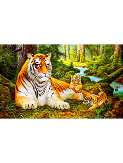 Алмазная картина (мозаика) &quot;Лесные тигры&quot; 30*40/40*50 см