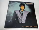 Fancy - Flames Of Love (LP, Album)
