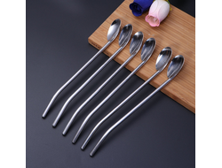 Stainless steel straw spoon   მეტალის  კოვზი - საწრუპი 6 ც
