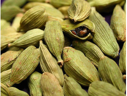 Кардамон (Elettaria cardamomum) 5 мл - 100% натуральное эфирное масло