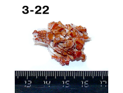 Ванадинит натуральный (щетка) №3-22: 34*26*15мм