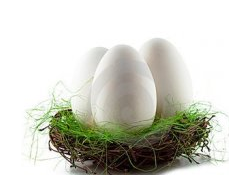 Яйцо гусиное (вес ~140-180 гр, цена за 1 шт 50 рублей)
