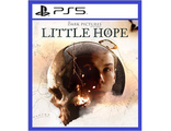 The Dark Pictures Little Hope (цифр версия PS5) RUS 1-5 игроков/Предложение действительно до 17.01.24