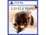 The Dark Pictures Little Hope (цифр версия PS5) RUS 1-5 игроков/Предложение действительно до 21.11.25