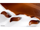 CW1848 Поликарбонатная форма для шоколада Волна Chocolate World, Бельгия