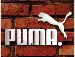 Кроссовки женские Puma