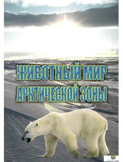 Учебный фильм. Животный мир Арктической зоны