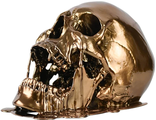 страшный, жидкий, стекает, череп, человеческий, кость, Skull, голова, костяной, скелет, золото, gold