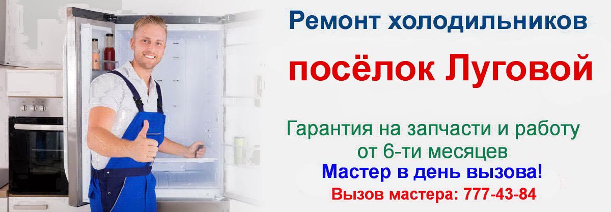 Ремонт холодильников в посёлке Луговой