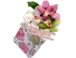 Цветы Орхидеи в коробке