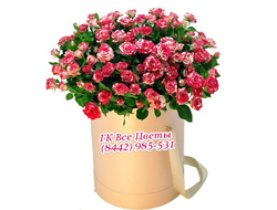 Кустовая роза цветы в круглой подарочной коробке