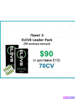 Elev8