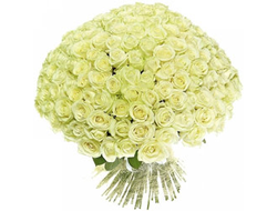 101 белая роза