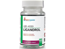 (WestPharm) Ligandrol (LGD-4033) - (60 капс)
