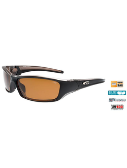 Солнцезащитные очки Goggle Raccoon E257P