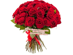 15 роз алых букет Особенный