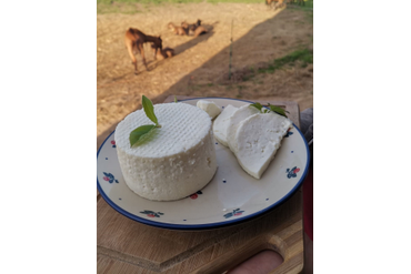 Сыр домашний натуральный