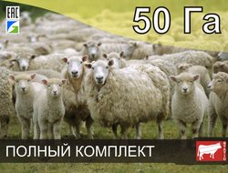 Электропастух СТАТИК-3М для овец и ягнят на 50 Га - Удержит даже самого наглого барана!