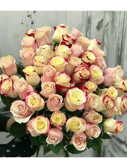 51 нежно-розовая роза голландия 70см