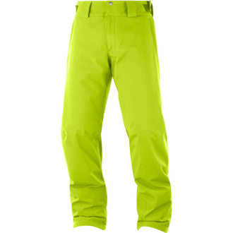 Горнолыжные брюки мужские Salomon Strik Pant