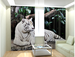 Фотошторы 150x260*2	Габардин	(150;260)(150;260)	Белый тигр