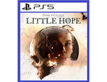The Dark Pictures Little Hope (цифр версия PS5 напрокат) RUS 1-5 игроков