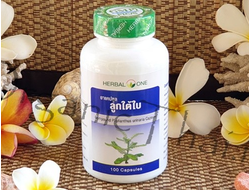 Купить и узнать отзывы на тайские капсулы Phyllanthus Amarus для лечения и очищения печени