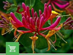 Молекулы и базы