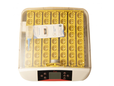 Цифровой инкубатор HHD автоматический с овоскопом на 56 яиц кур/перепелов