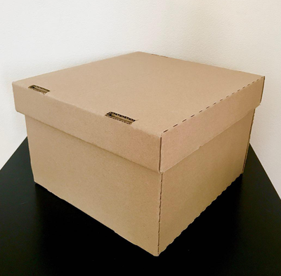 Гофрокороб 380х290х200 с крышкой 405х300х52