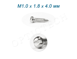 Винт М1.0*1.8*4.0 мм для носовых упоров серебро (100шт)