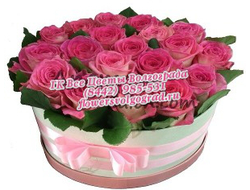 21 роза в розовой коробке