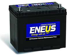Автомобильный аккумулятор Eneus Professional 21-450 (60 Ач о/п)