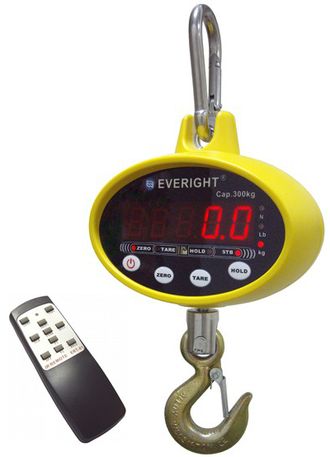 Everight OCS-SF крановые весы (НПВ 50, 100, 300 кг)