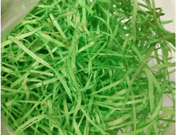 Древесная стружка, 40 г, цвет №13 Салатовый