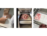 Автоматический аппарат для резки свежего и замороженного мяса, костей, овощей и рыбы RAI-2124