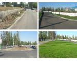 Посевной газон в Воронеже – это разновидность устройства зеленой территории земельного участка