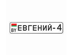 Сувенирный авто- номер "Евгений"