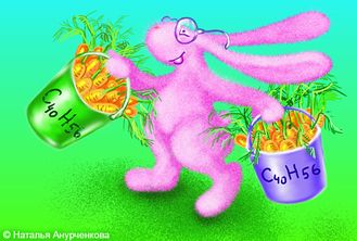 НА-074 Открытка "Каротин" Н. Анурченкова НА-074 Открытка "Каротин" Н. Анурченкова