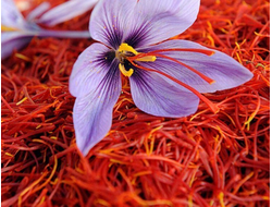 Аттар Шафран кашмирский (Сrocus sativus) на базе Сандала белого 2 г