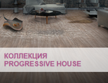 Progressive House (Замок)