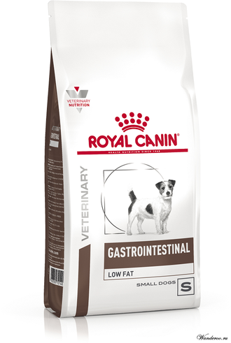 Best price for royal canin dog food on sale