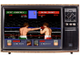 Evander Holyfields Real Deal Boxing (Sega Game)