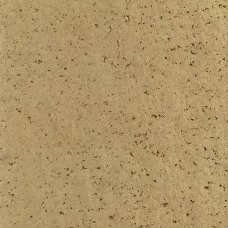 Coconut Gold Coconut Gold