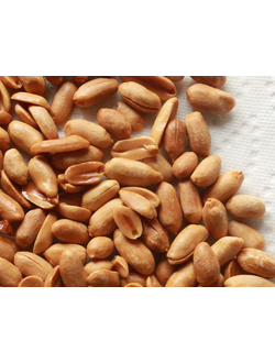 Peanut SCO2 extract 911230 (Firmenich) /Арахис CO2 экстракт