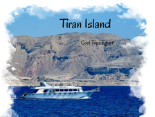 Sea trip near Tiran Island (with the possibility of diving for beginners) from Sharm El Sheikh