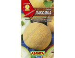 Дыня Лакомка  Аэлита