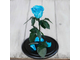Стабилизированная роза в колбе Lerosh - Standart 33 см, Голубая